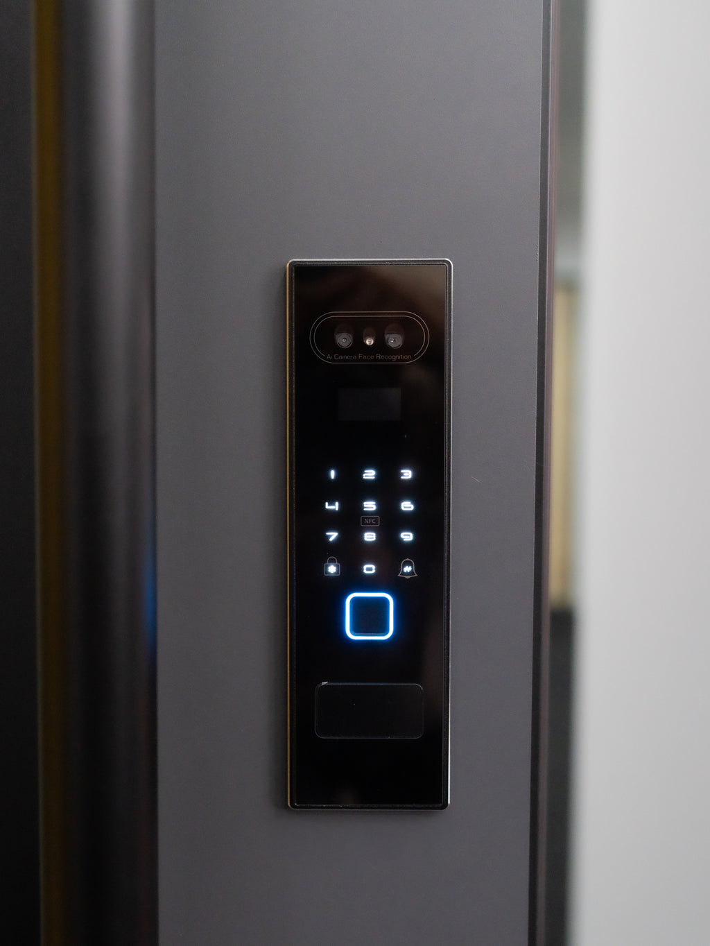 Hőszigetelt biztonsági alumínium bejárati ajtó IronDOOR33 – Antracit - 98 × 208 cm